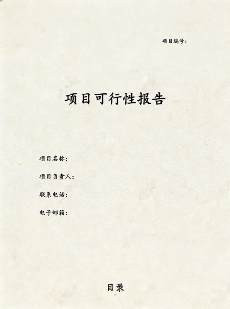 项目可行性研究